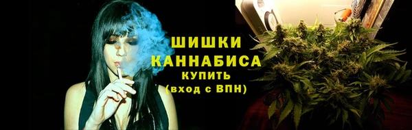 СК Бронницы
