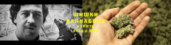 СК Бронницы
