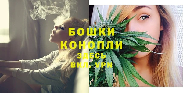 МДМА Бородино