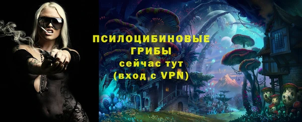СК Бронницы