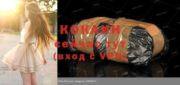 СК Бронницы