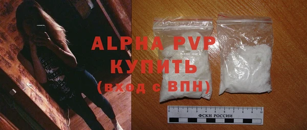 СК Бронницы