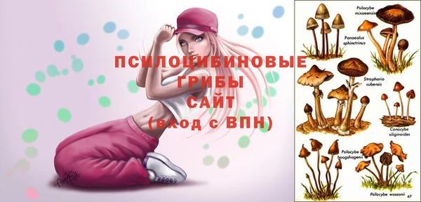 СК Бронницы