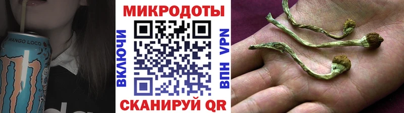 omg ТОР  Юрьев-Польский  Псилоцибиновые грибы прущие грибы 